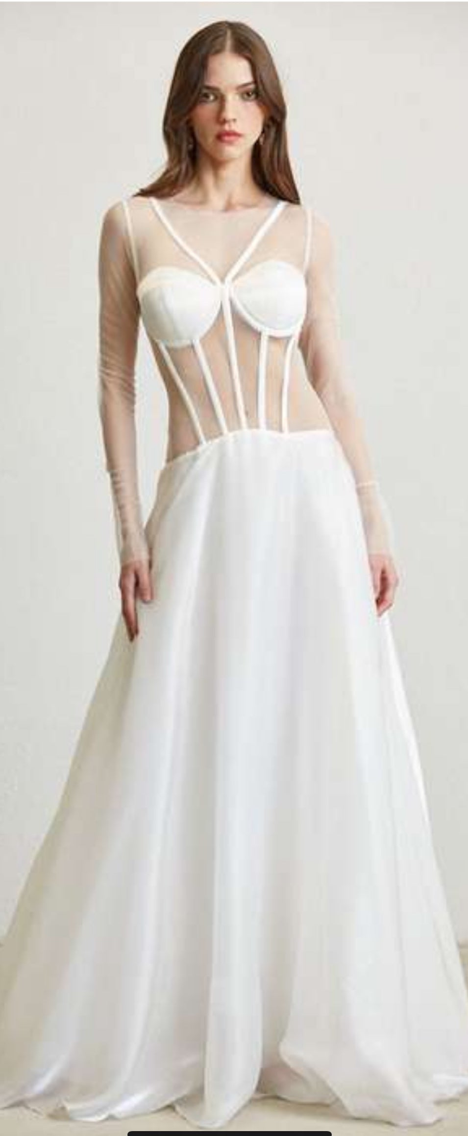 SHEER MESH LONG SLEEVES GOWN