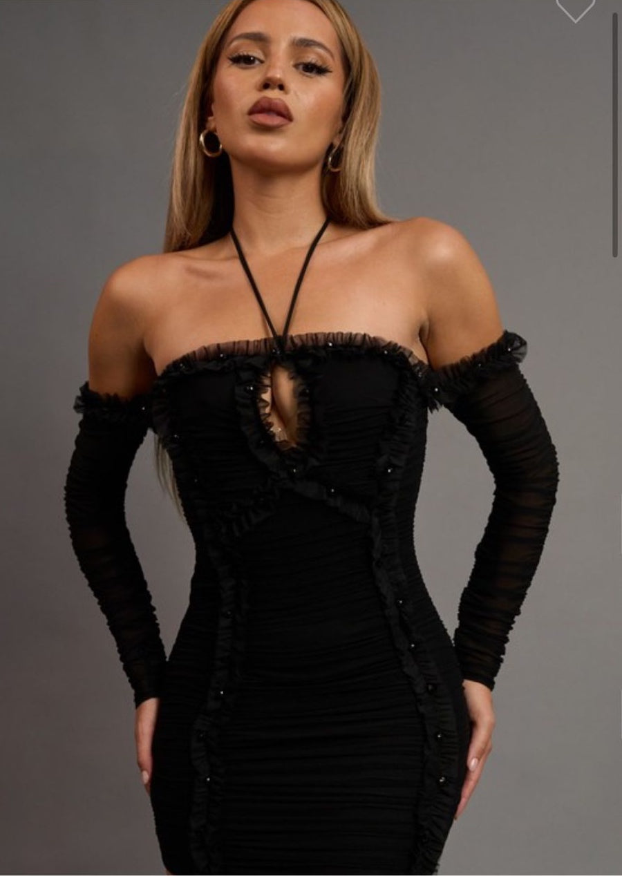 MESH SEXY LONG SLEEVES DRESS