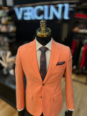 Vercini Versatile Vogue 2 Piece Men's Suit