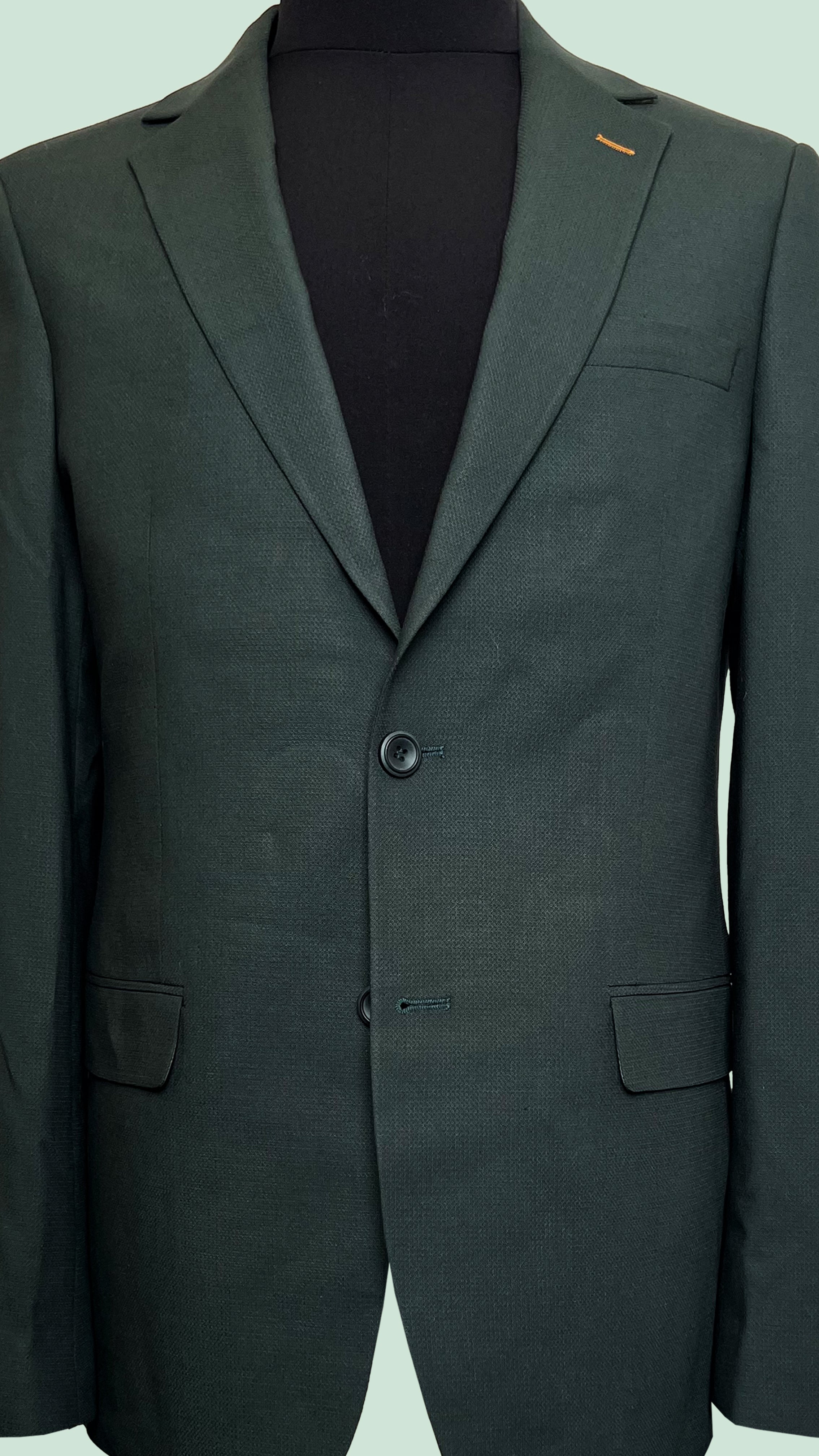 Vercini Evergreen Elegance Men's Blazer