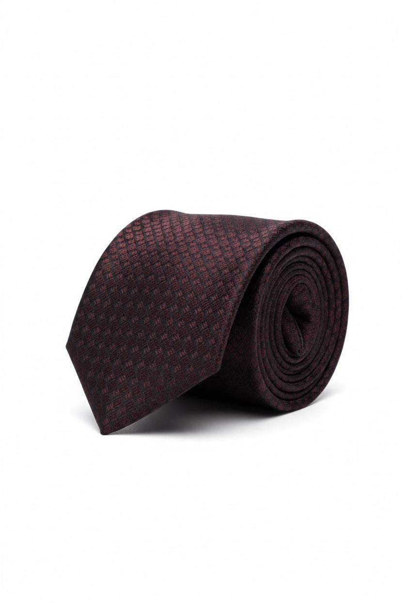 Vercini Textured Silk Tie