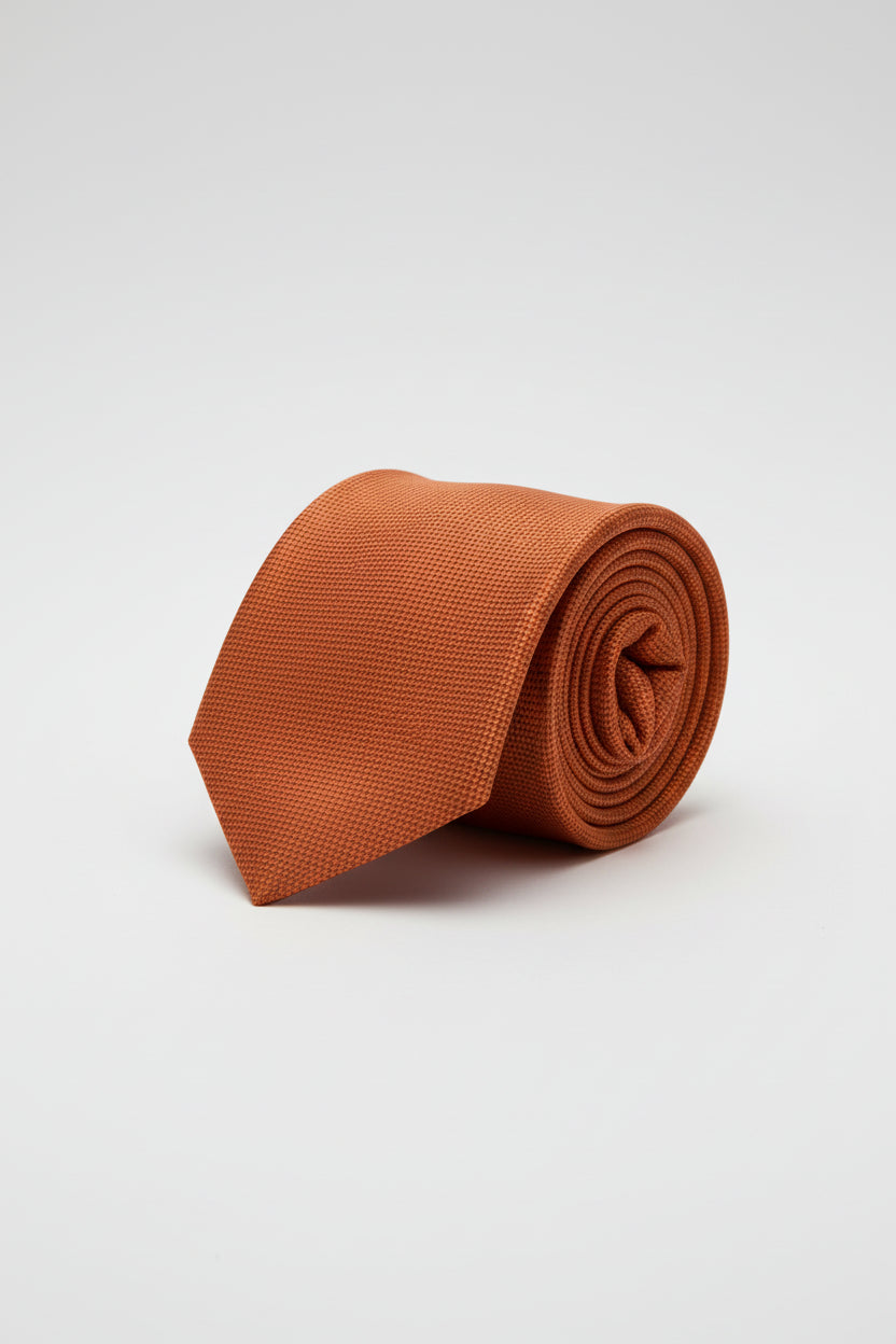 Vercini Solid Tie