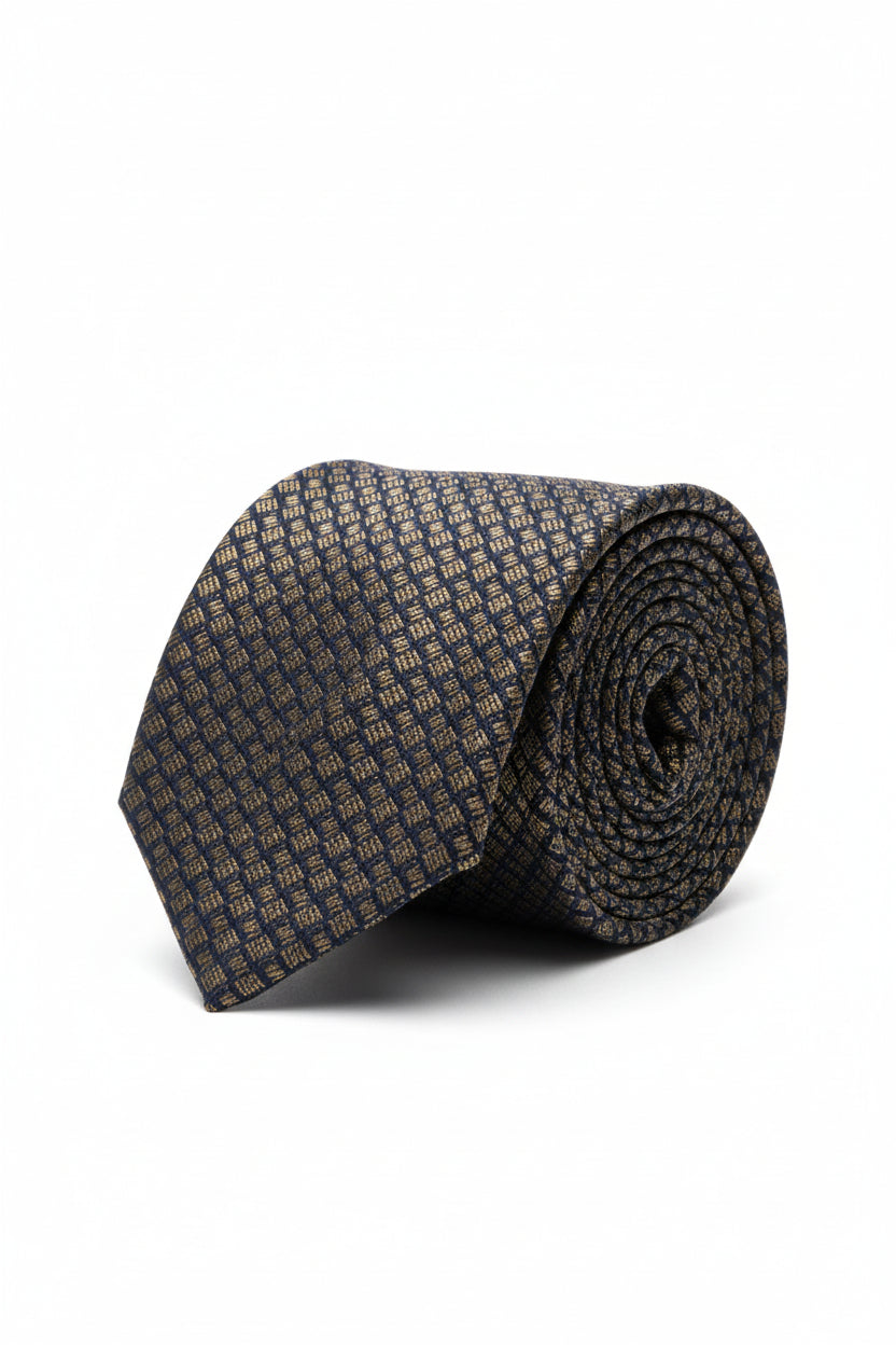 Vercini Textured Silk Tie