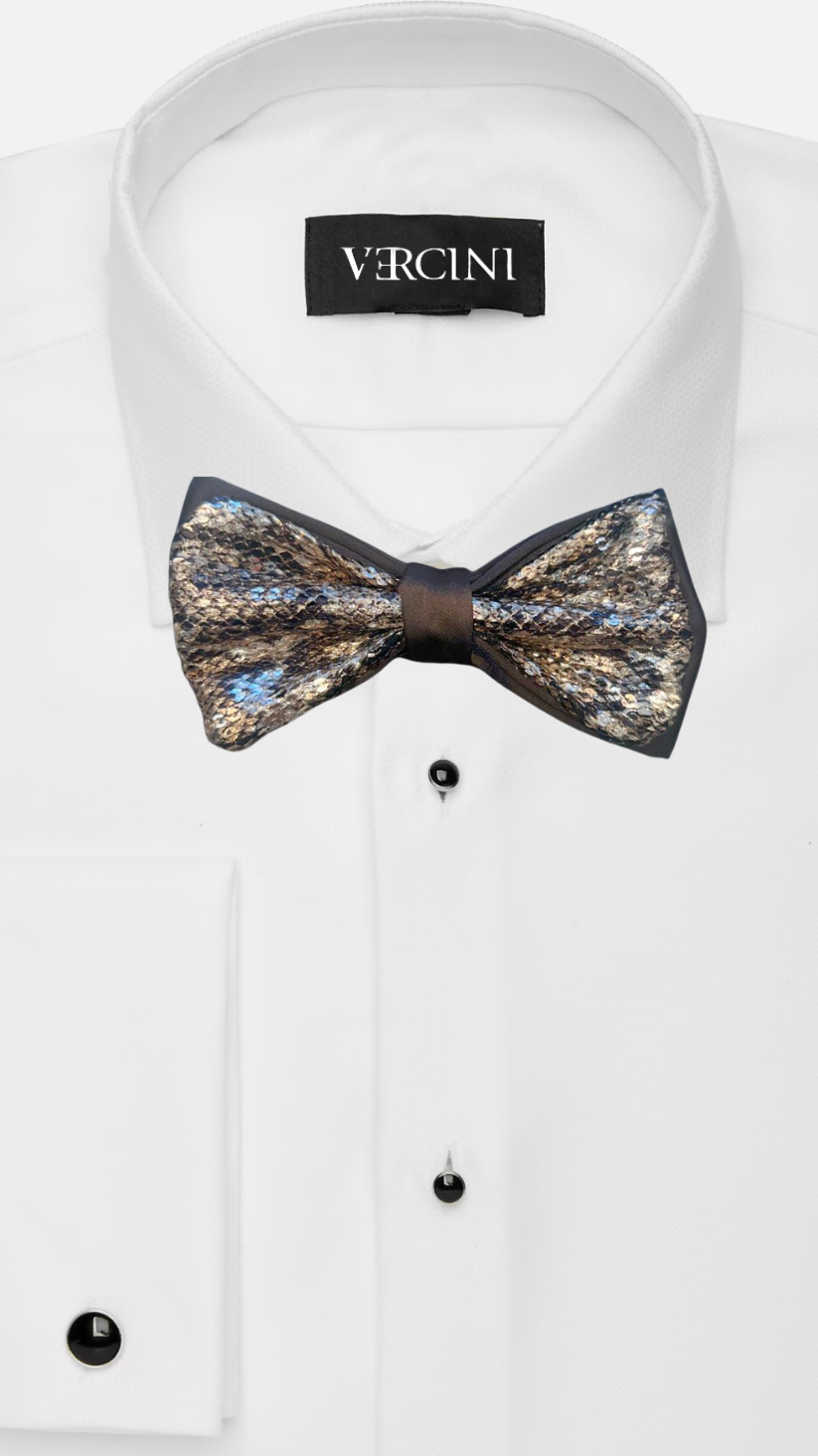 Regular bow ties Ph accessories Vercini