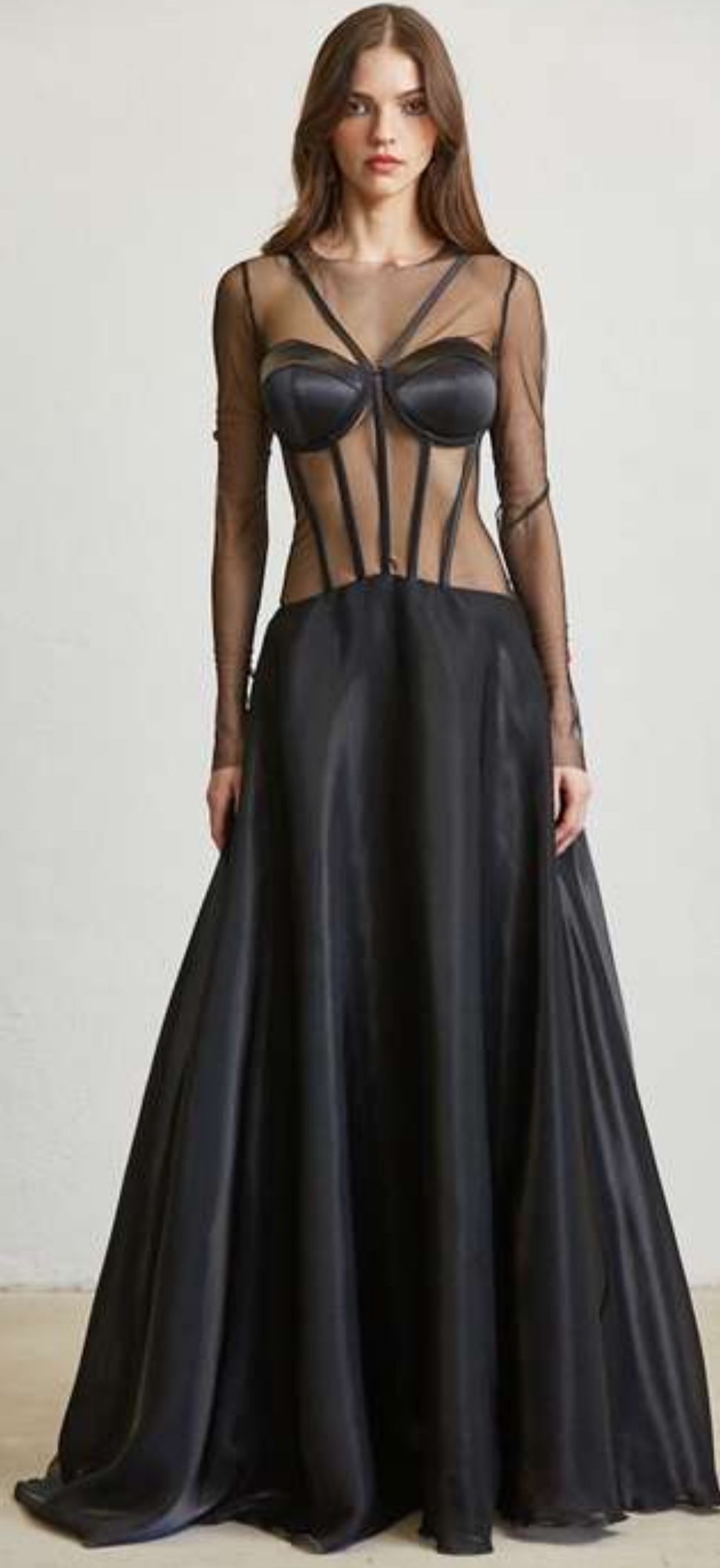 SHEER MESH LONG SLEEVES GOWN