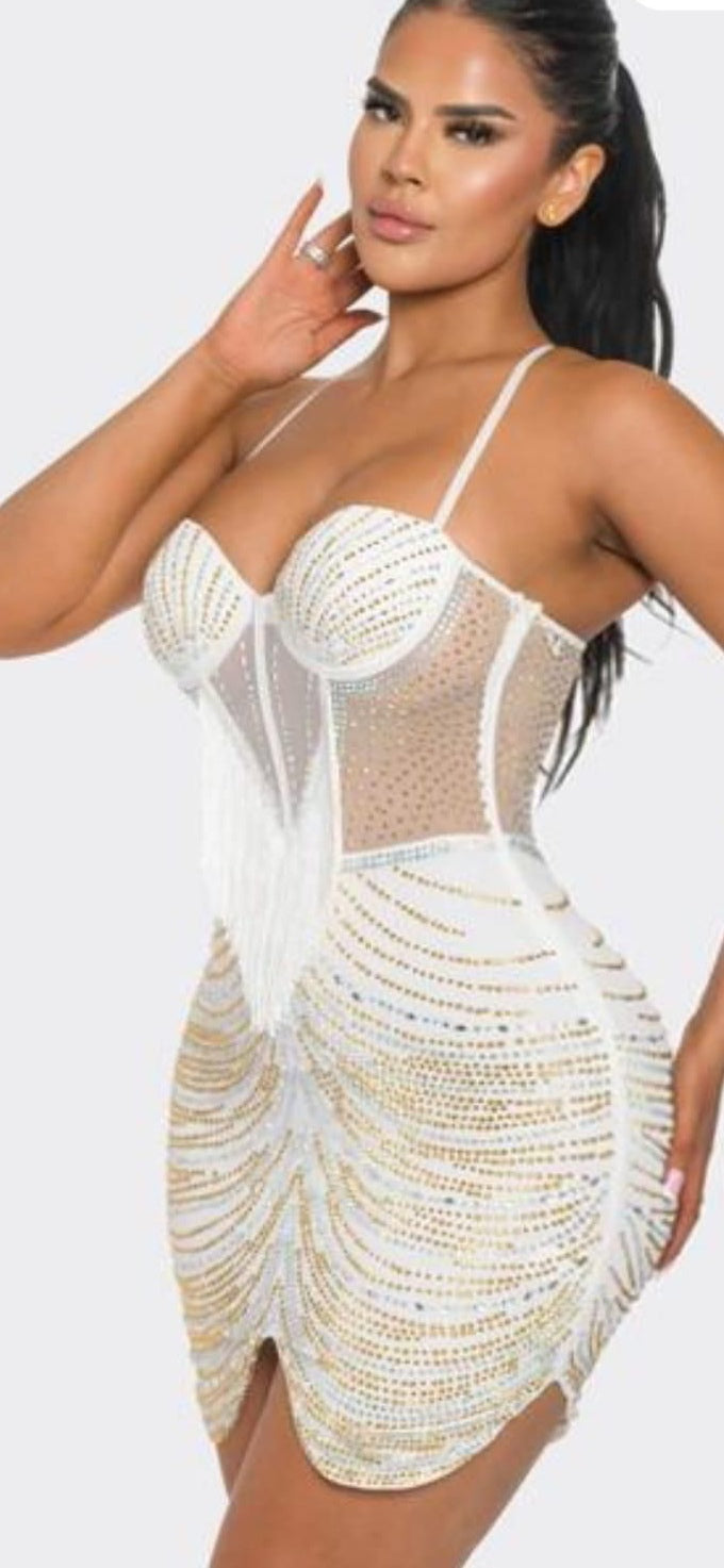 FORM FITTING WHITE MESH DRESS
