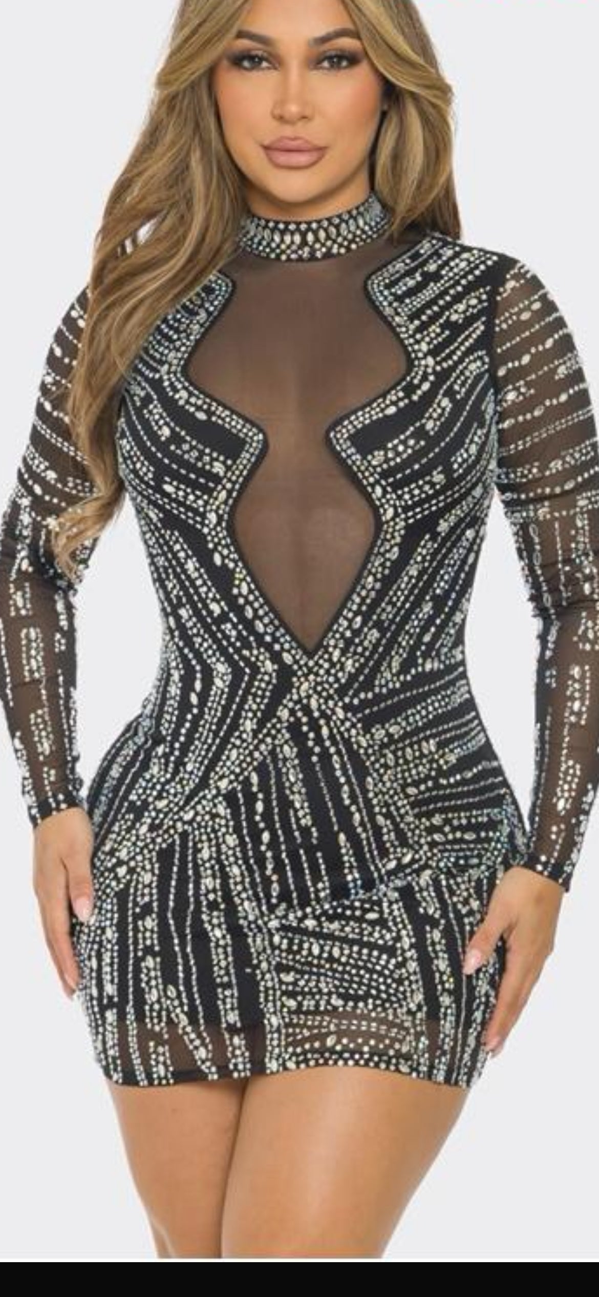 SHEER LONG SLEEVE DRESS