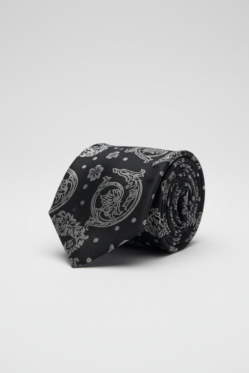 Paisley Tie with Pocket Square Set - Men's Formal Necktie
