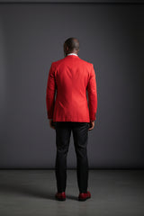 Vercini Men's Executive Style Vivid Blazers Collection